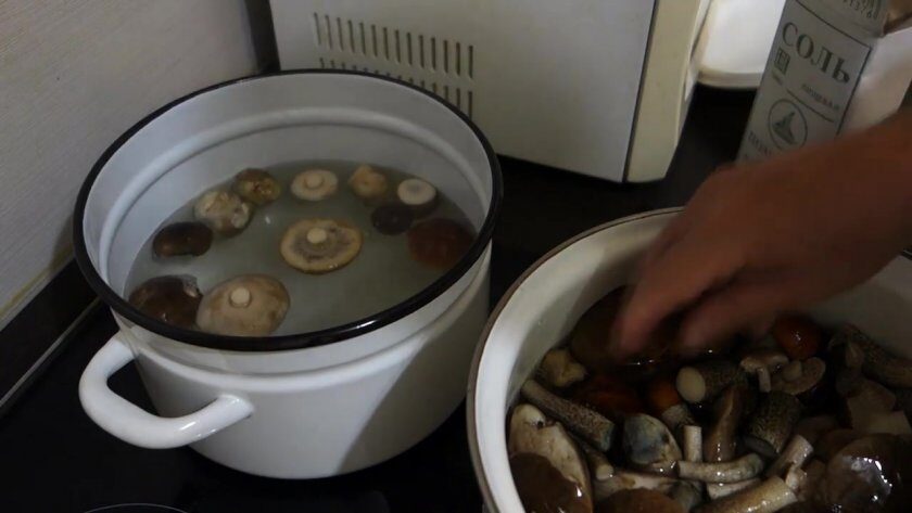 Как правильно и сколько времени варить и жарить грибы подберезовики и подосиновики ( 17 фото)?