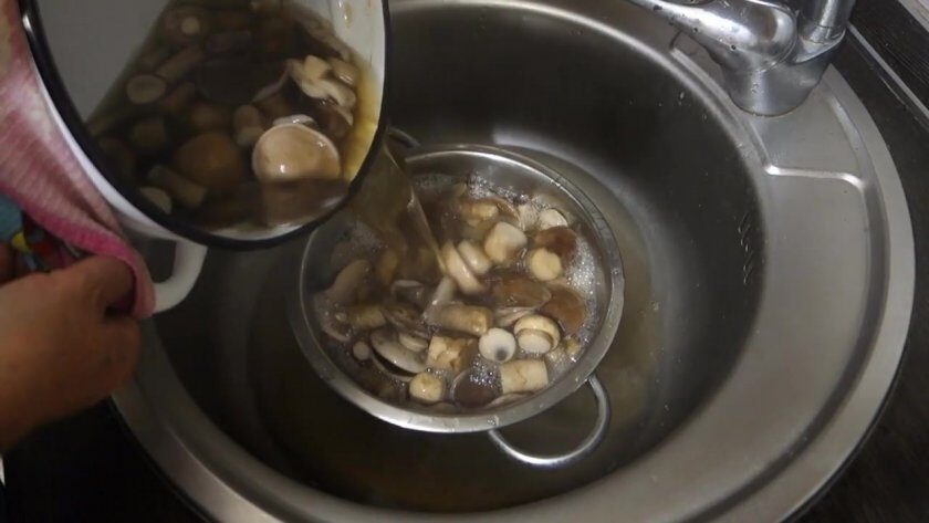 Как правильно и сколько времени варить и жарить грибы подберезовики и подосиновики ( 17 фото)?