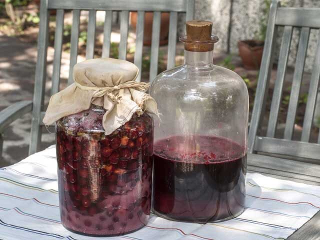 Изготовление домашнего вина из вишни