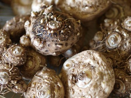 Как правильно хранить луковицы каллы зимой