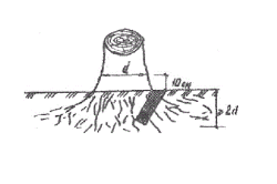 Схема корчевания пней взрывным способом