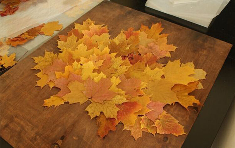 Аппликации из листьев на тему «Осень» для школы и детского сада