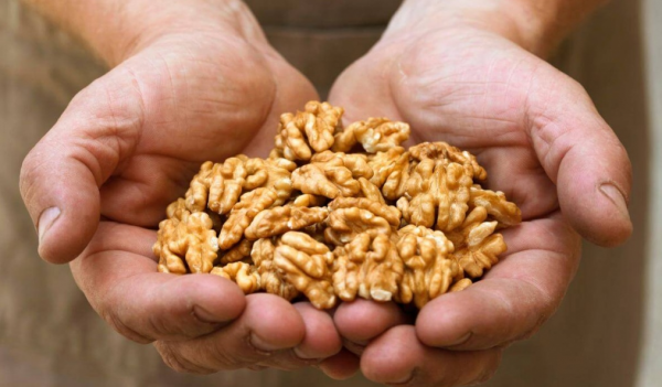 Самые полезные орехи для мужчин