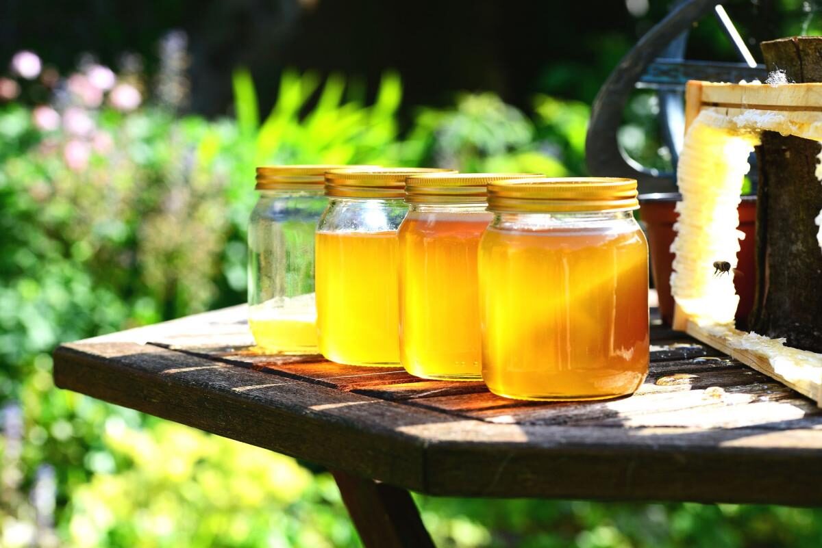 Как можно определить натуральный мед и отличить от подделки? Советы и рекомендации.