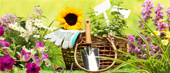 Инструменты для ухода за садом и огородом