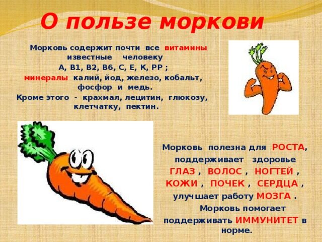 Какого витамина больше в моркови