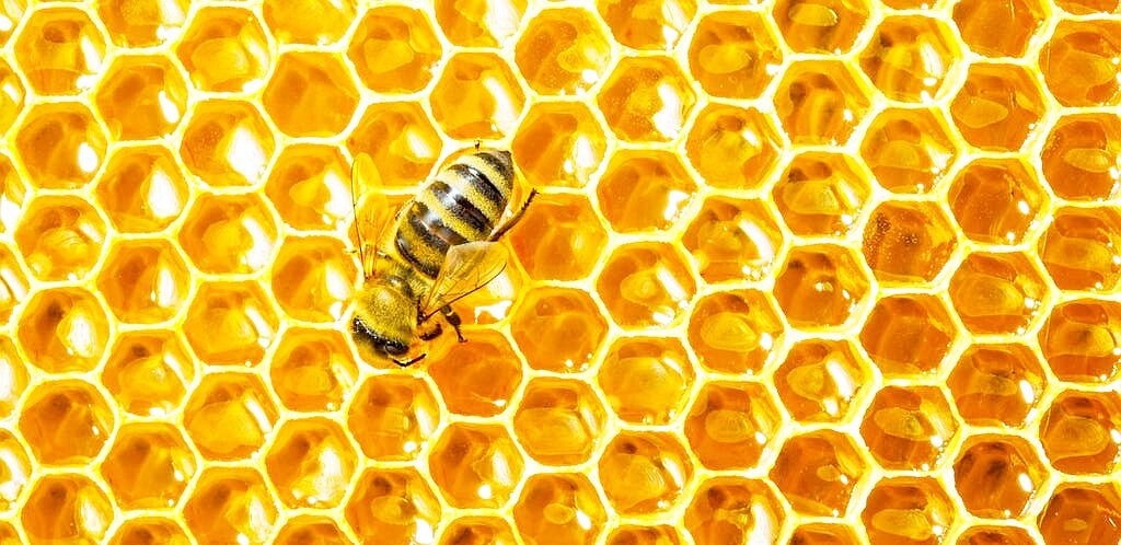 В чем лучше хранить мед долгое время
