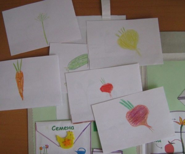 Карточки «Овощи»: детские рисунки