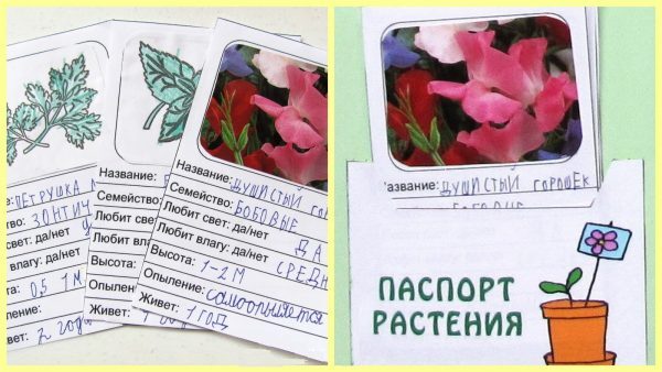 Карточки «Паспорт растения»