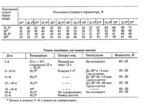 Условия инкубации гусиных яиц 