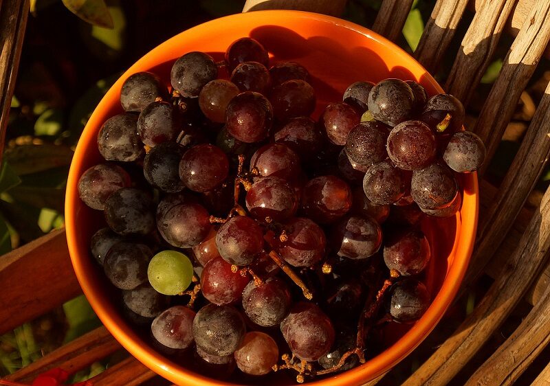 перебранный виноград