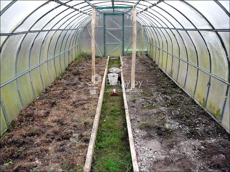 Готовим грядки под выращивание баклажанов в теплице