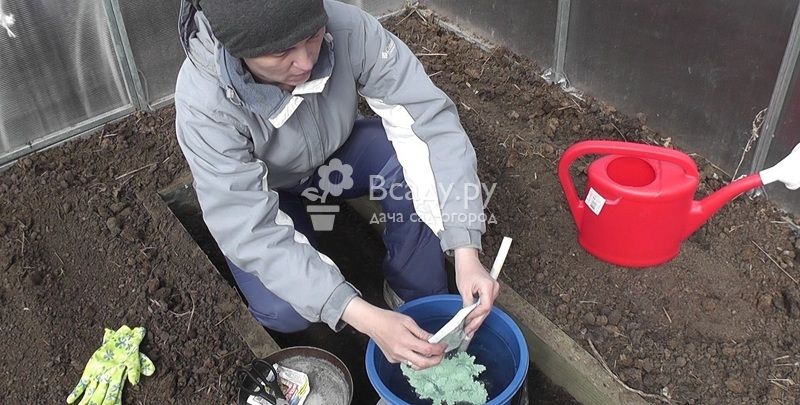 Обработка теплицы медным купоросом до посадки баклажан