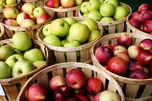 Брага из яблок: секреты приготовления