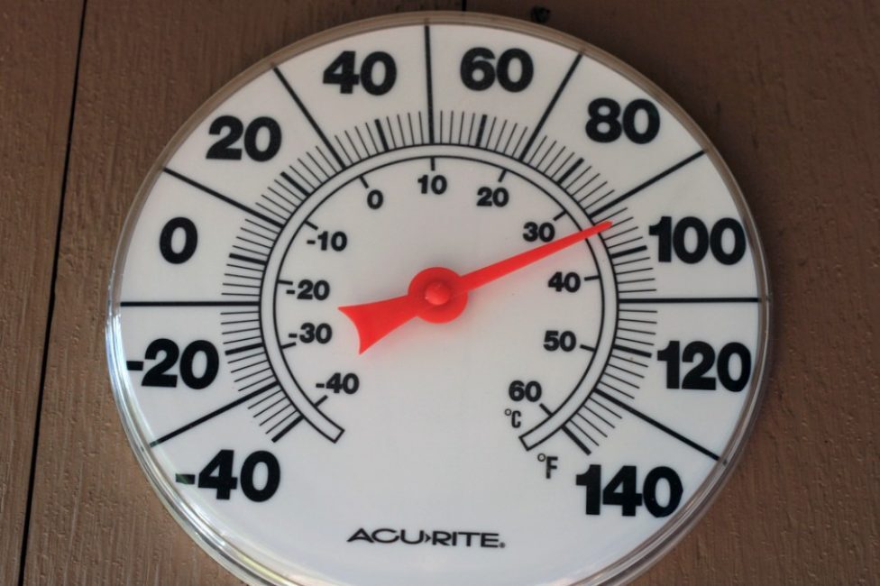 В летнее время оптимальной температурой для колеуса является диапазон от  20°С до  28°С.